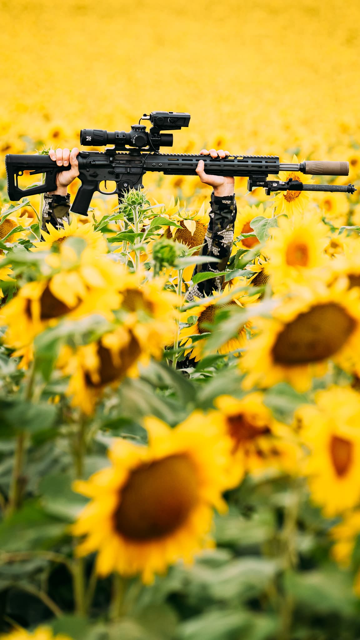 Slide image (mobile)